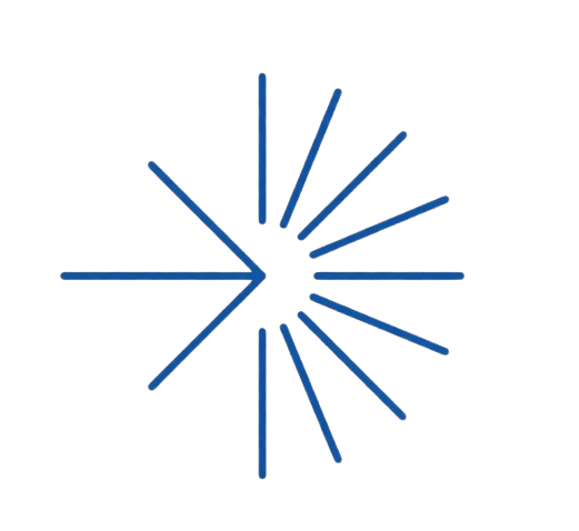 Policy Support & Strategic Guidance